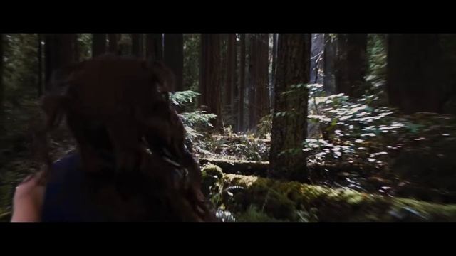 Сумерки forever смотреть онлайн
