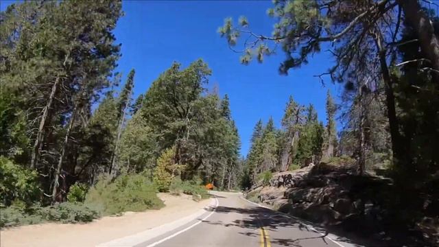 Самое большое дерево в мире - Генерал Шерман! Путешествие по Америке || национальный парк СЕКВОЙЯ