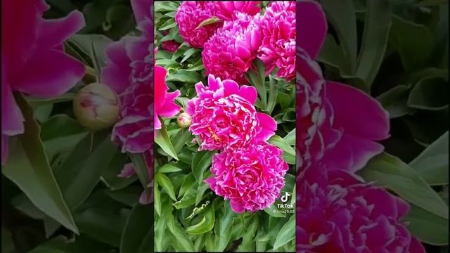 22 ноября 2023 г. смотреть онлайн