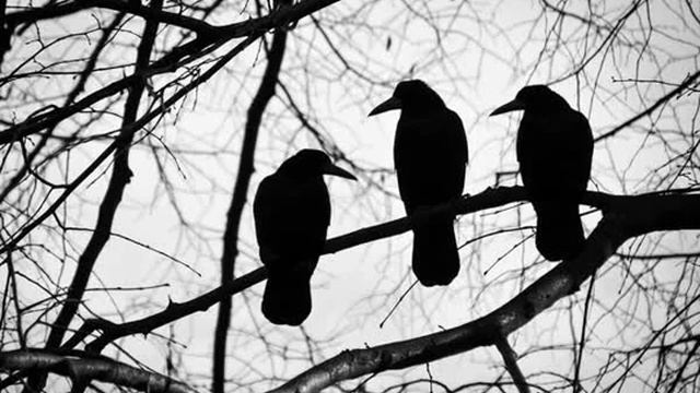 The Three Ravens (Medieval English ballad) смотреть онлайн