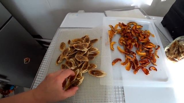 Решили экономнее так!/Страх присутствует/Нужно успеть/Жизнь в Деревне смотреть онлайн