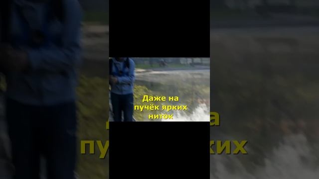 ТОП 5 САМЫХ ГЛУПЫХ ЖИВОТНЫХ #shorts смотреть онлайн