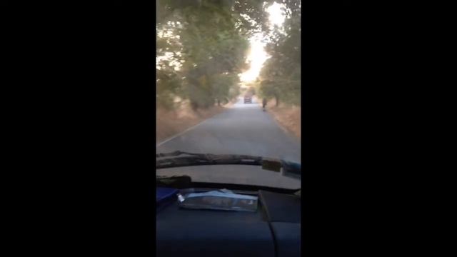 HITCHHIKING BOOM FESTIVAL 2016! GERMANY - PORTUGAL смотреть онлайн
