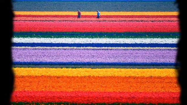 Михаил Долгов. Песня "Полоска". смотреть онлайн