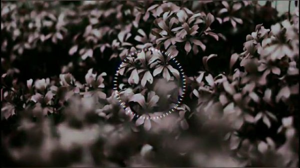 SUMAYA  SUMAYA  SONG 2021 🎵🎶🔊KAYNAT SHEKH.RIZA❤️