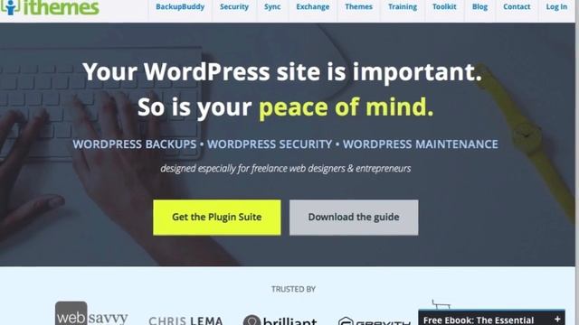 Best WordPress Theme Club Membership смотреть онлайн