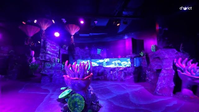 "SEA LIFE BUSAN" AQUARIUM смотреть онлайн