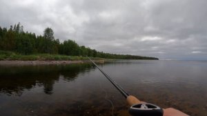 Рыбалка на Кольском полуострове. Горбуша на Кольском 2023. #fishing #nature #travel