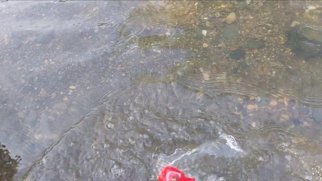 Membersihkan mainan berlumpur kendaraan dan hewan | Clean up muddy toy vehicles and animals смотреть онлайн