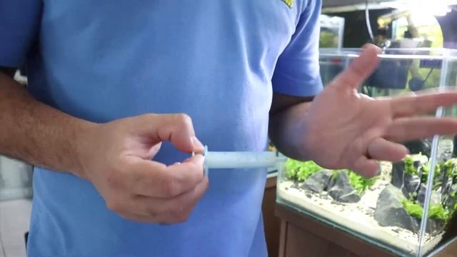 COMO SUPLEMENTAR suas Plantas AQUÁTICAS #REIDOSAQUARIOS смотреть онлайн