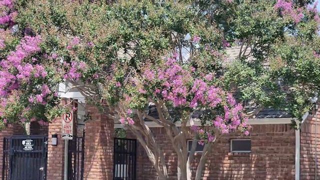 487. Обзор ЖИЛЬЯ в США в 2023! Цены, Условия Аренды в Америке! смотреть онлайн