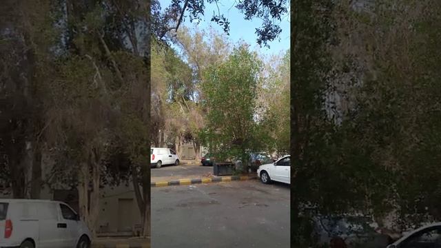 INDIAN EMBASSY IN JEDDAH K.S.A смотреть онлайн