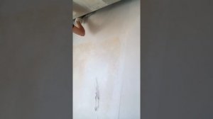 Клеим стеклохолст... на шпаклёвку.