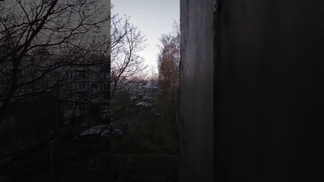 в мире животных (синицы) смотреть онлайн
