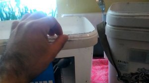 Отличный рыболовный ящик из двух вёдер!