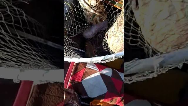 Рыбалка в ст.Пластуновская. база 