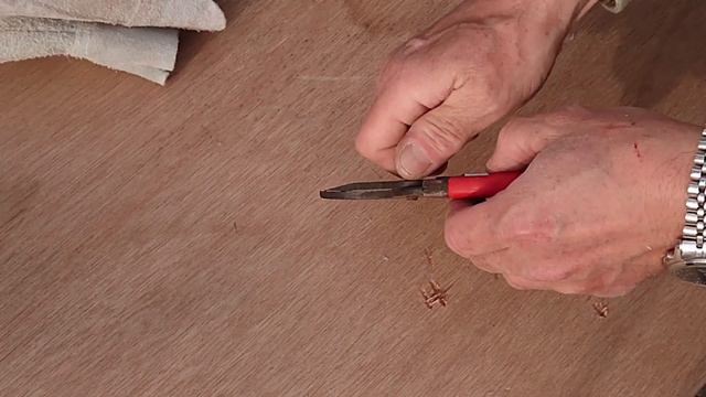 剪定ばさみをバラ用にチューンナップ【岡恒剪定ばさみ】（字幕） смотреть онлайн