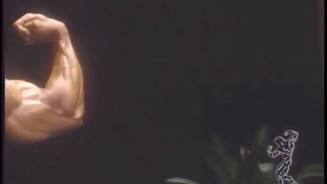 بطل كمال الأجسام، الجزائري الراحل محمد بن عزيزة 🇩🇿 RIP Momo Benaziza (1959-1992) смотреть онлайн