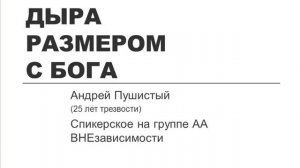 Дыра размером с Бога. Андрей Пушистый (трезвый 25 лет), спикерское АА