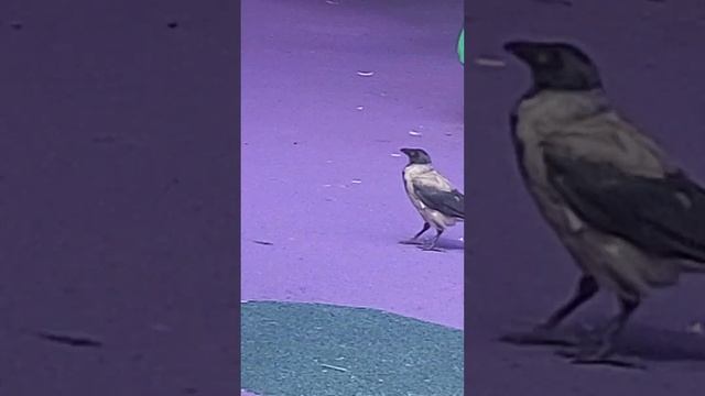 20 июля 2023 г. смотреть онлайн