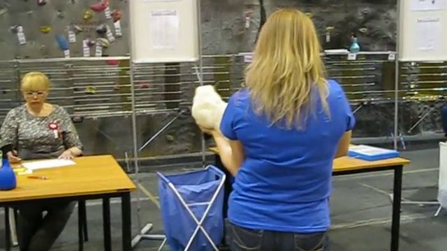 Best-of-Best, первый день смотреть онлайн