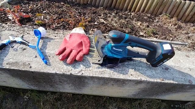 ОСТОРОЖНО, хвойные! Решаем весенние проблемы! смотреть онлайн