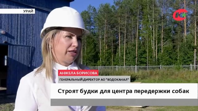 Предприятия Урая строят будки для собак смотреть онлайн