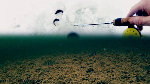 Балансир Зимой | Ловля на Балансир смотреть онлайн