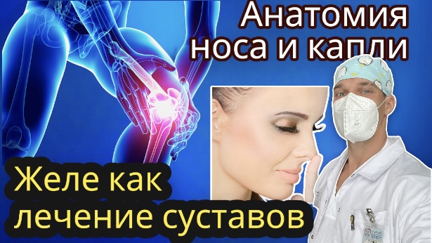 Желе для суставов - рецепт. Желатин. Анатомия носа, капли в нос, зависимость. смотреть онлайн