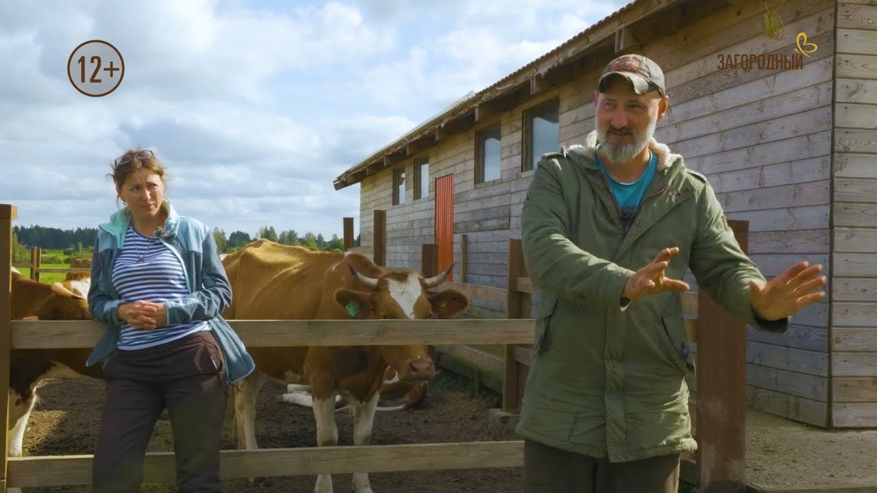 Посёлок Зверевою Ферма // Счастливы в месте смотреть онлайн