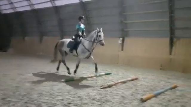 Конный клуб Сивка смотреть онлайн