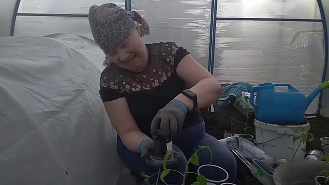 Перевалка томатов в стаканы 0,5 л смотреть онлайн