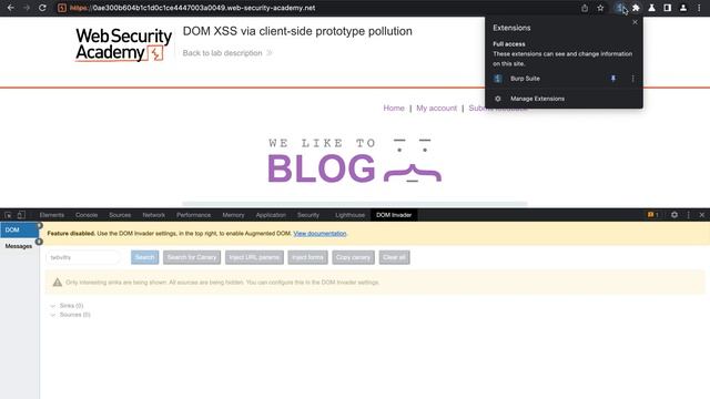 How to automate XSS | Dom Invader смотреть онлайн