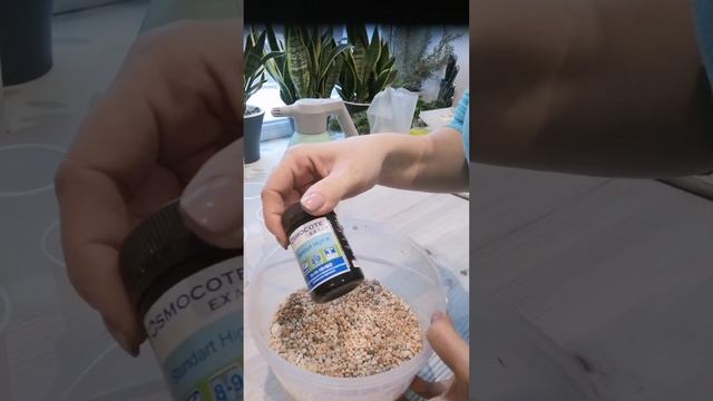 Готовлю грунт аналог Лечузе. Грунт для суккулентов и не только. смотреть онлайн