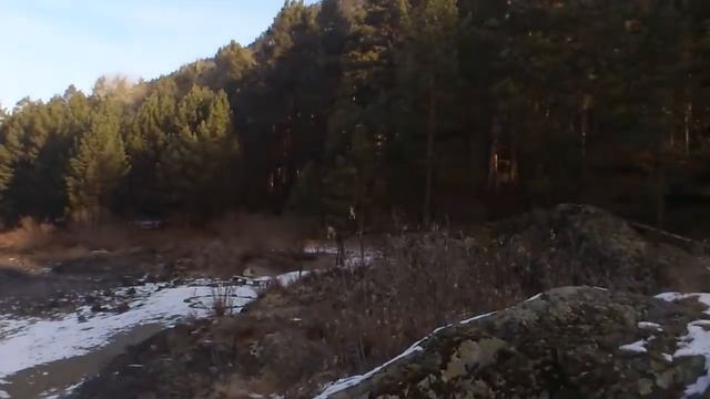 Кедровый остров смотреть онлайн