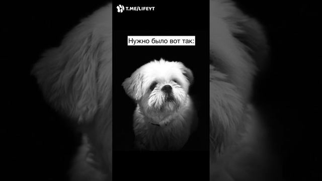 Когда подстригся у тёти Гали за 15 рублей смотреть онлайн