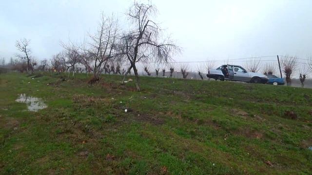 #Узбекистан#Плов#Ошмаркази#ПробуемСазана# смотреть онлайн