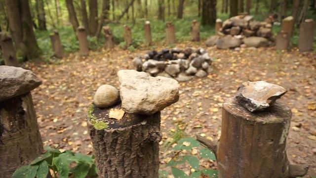 Где-то там в лесу. смотреть онлайн