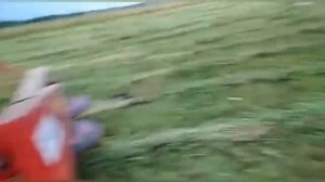 МТЗ-82. КОСИМ ЛУГОВОЕ СЕНО РОТОРНОЙ КОСИЛКОЙ ВИРАКС. 1 часть