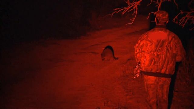 The Hunt for Desert Dwellers and Toothy Beast смотреть онлайн