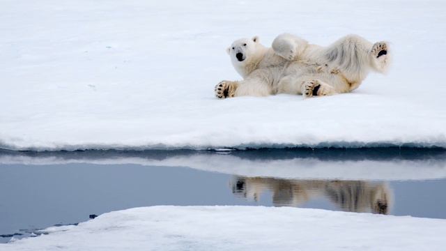 «Для меня мир - это одно целое», - экспедиционный фотограф Денис Элтерман смотреть онлайн
