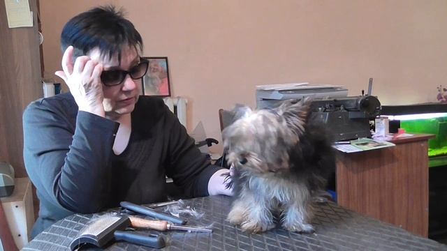 клещи у собак - советы от Натальи клуб UCI смотреть онлайн