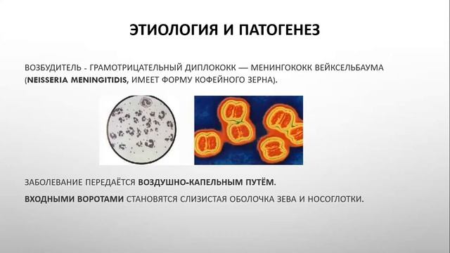 Менингококковый менингит