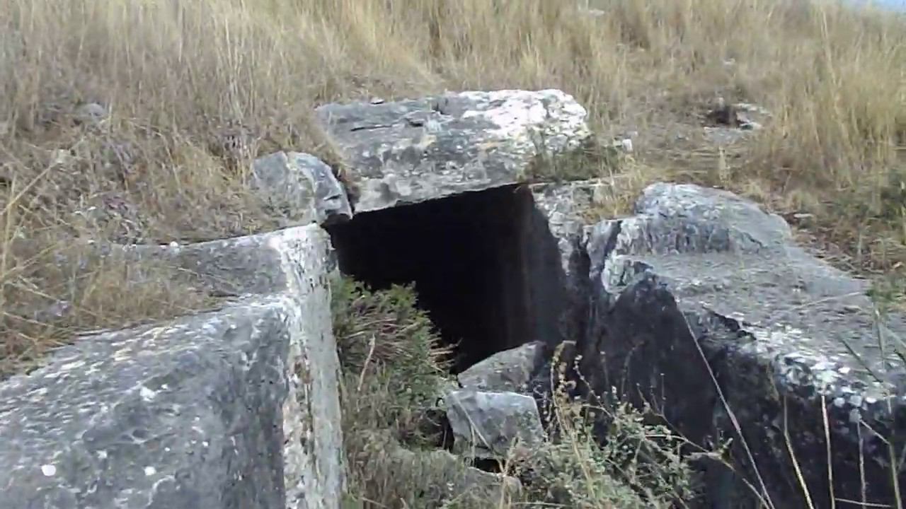 Короткие ролики