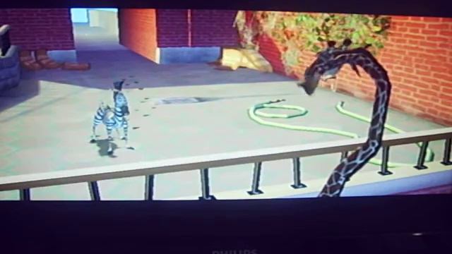 Прохождение игры Мадагаскар часть 1 день рождения Марти смотреть онлайн