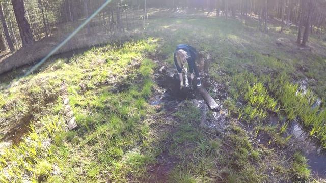 VLOG. КТО ТО РАЗОРВАЛ ЛЯГУШКУ. НАШЕ ПУТЕШЕСТВИЕ. смотреть онлайн