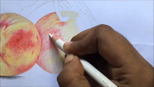 Peaches Drawing in Color Pencils | Fruit Drawing | Faber Castell Polychromos смотреть онлайн