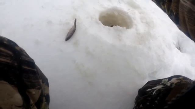 Рыбалка и Отдых! Домашние колбаски на углях! Ловля на жерлицы! смотреть онлайн