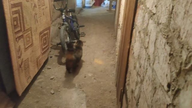 А кто это домой уехал? смотреть онлайн