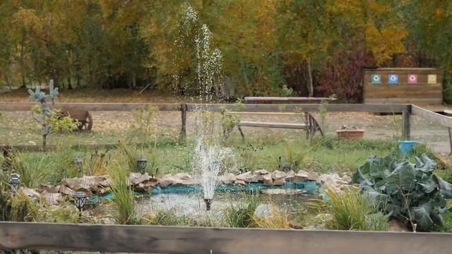 Что значит программа МИР НОВЫХ ВОЗМОЖНОСТЕЙ для жителей Читы и Газимуро-Заводского района смотреть онлайн